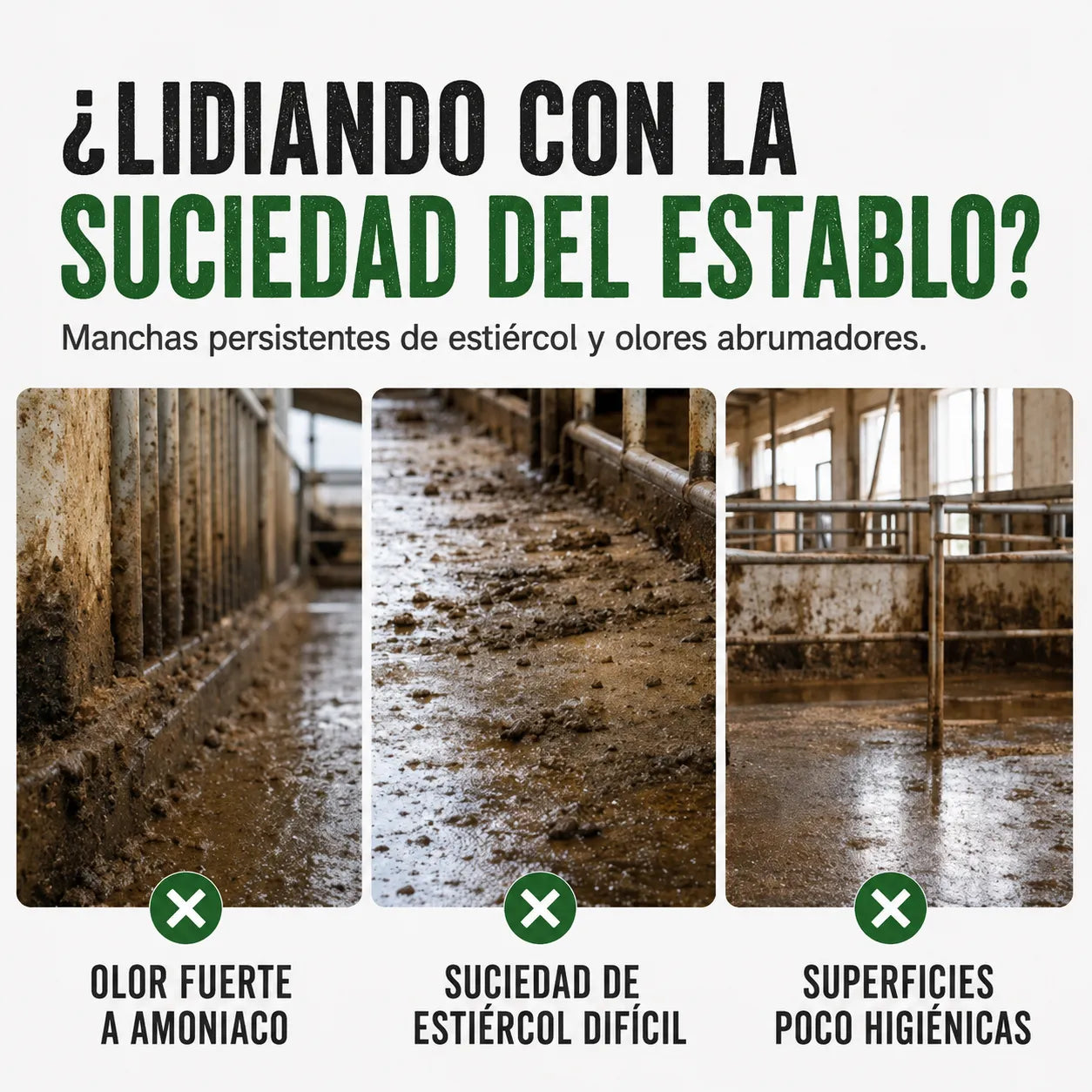 Spray quitamanchas para establos: fórmula profesional que elimina la suciedad y la acumulación de residuos.
