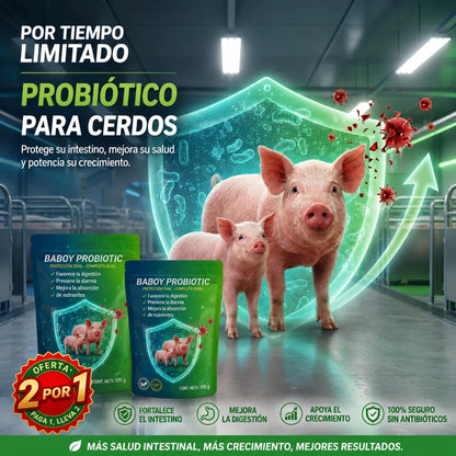 Probiótico Animal de Alto Rendimiento - 🐷Baboy Probiotic™ Paga 1 lleva 2
