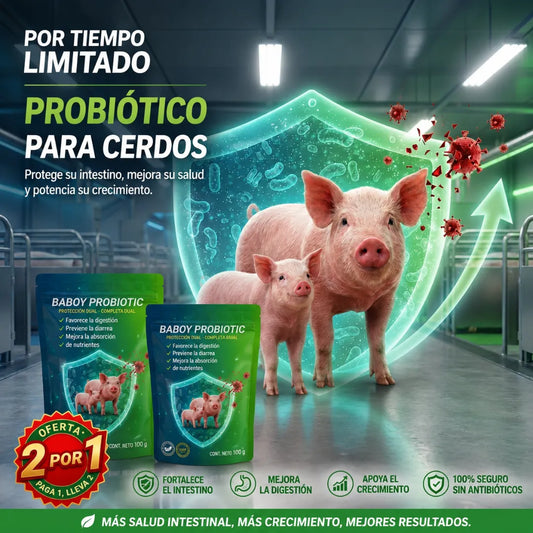 Probiótico Animal de Alto Rendimiento - 🐷Baboy Probiotic™ Paga 1 lleva 2