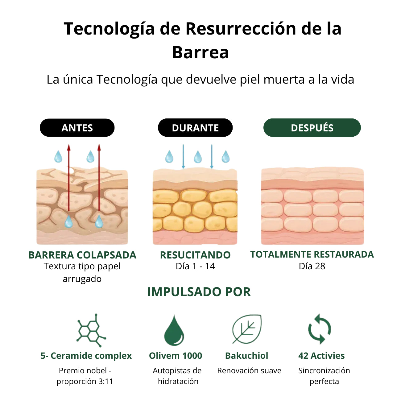 Crema reparadora para piel crepey
